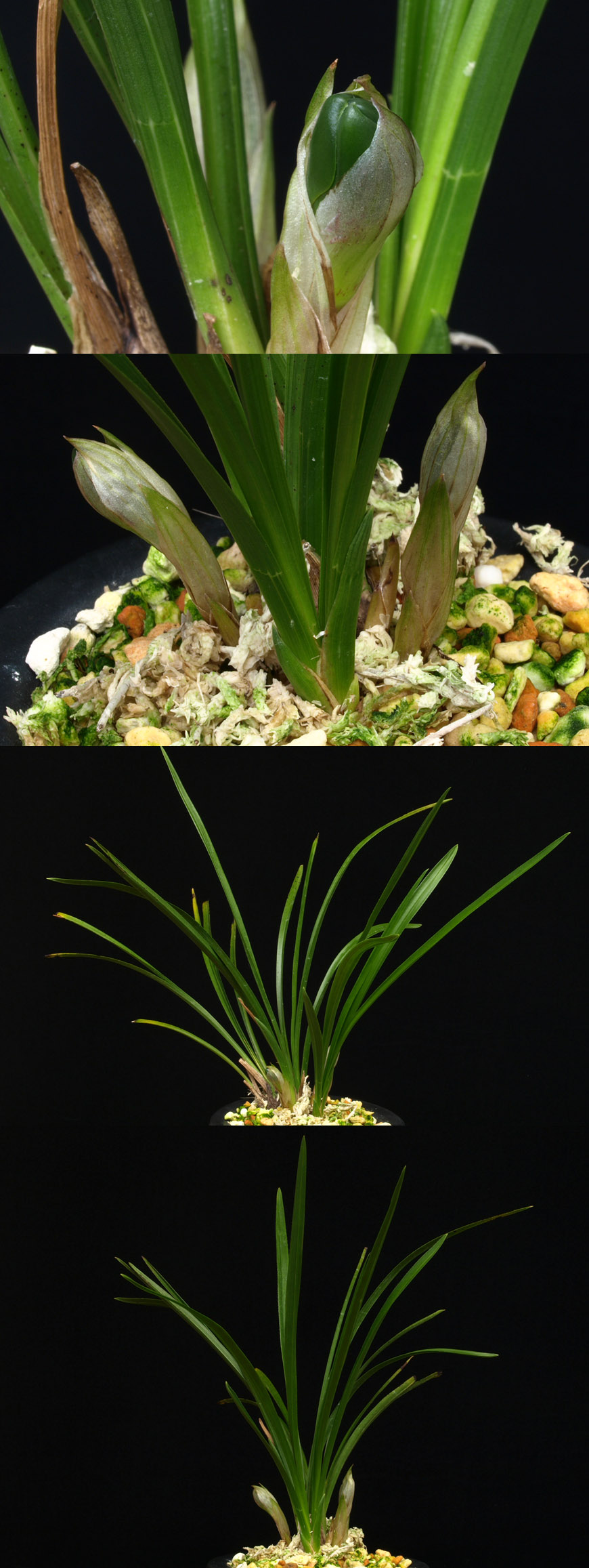 ������ ū������ �� �� �ֽ��ϴ�.