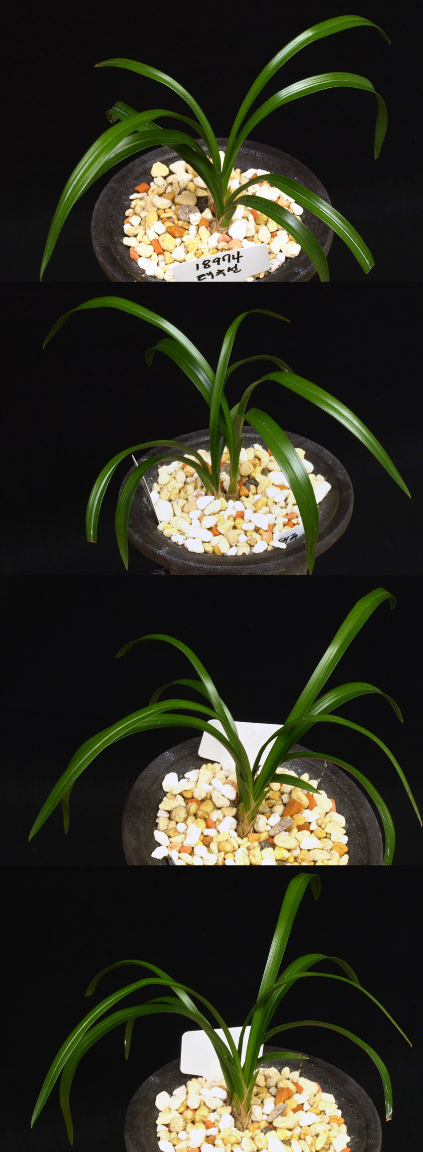 ������ ū������ �� �� �ֽ��ϴ�.