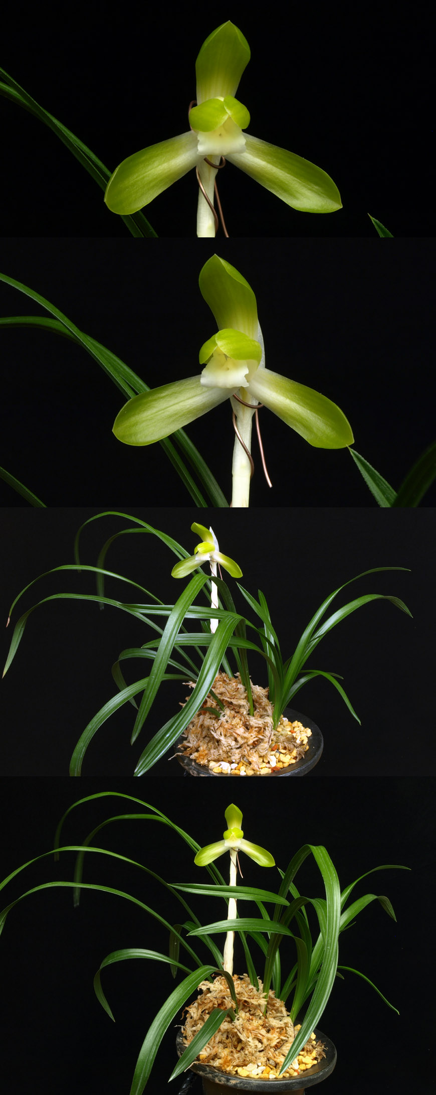 ������ ū������ �� �� �ֽ��ϴ�.