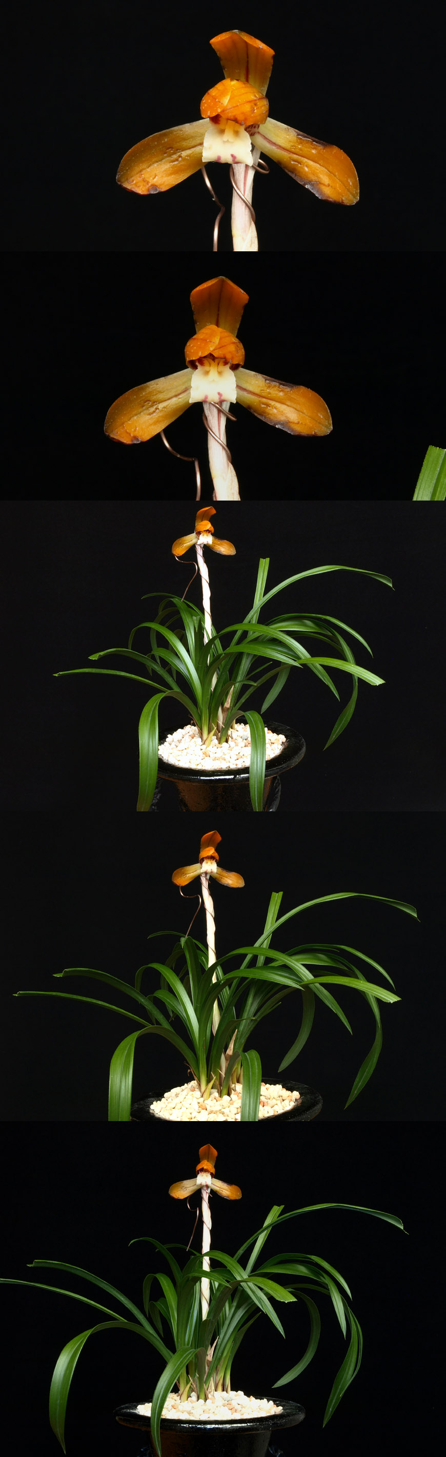 ������ ū������ �� �� �ֽ��ϴ�.