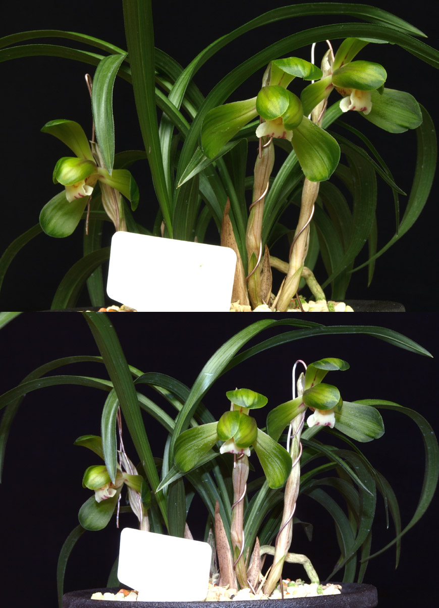 ������ ū������ �� �� �ֽ��ϴ�.