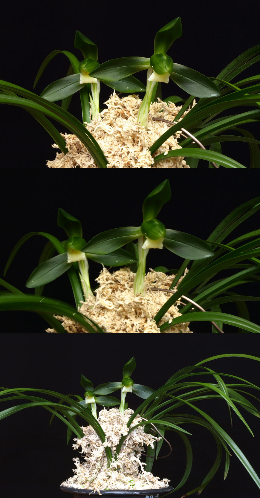 ������ ū������ �� �� �ֽ��ϴ�.