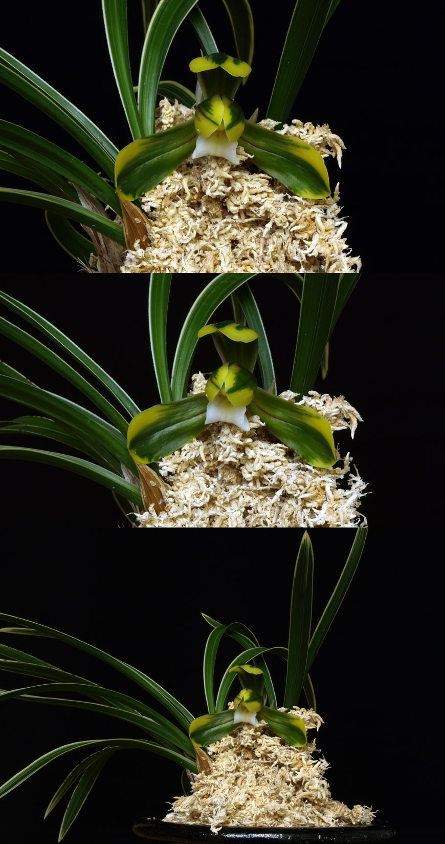 ������ ū������ �� �� �ֽ��ϴ�.