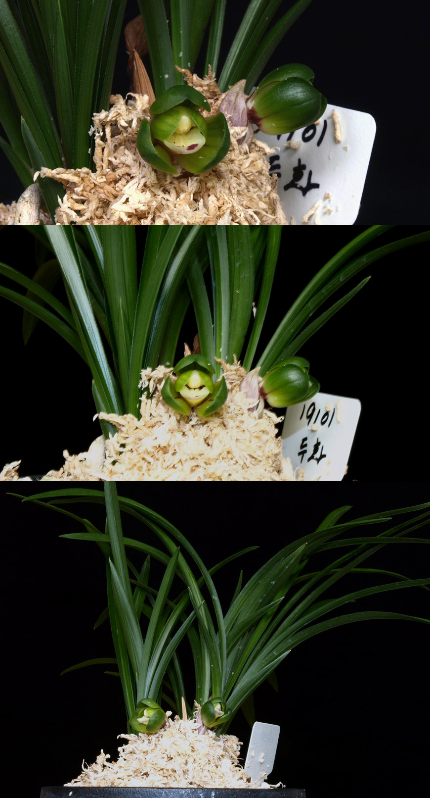 ������ ū������ �� �� �ֽ��ϴ�.