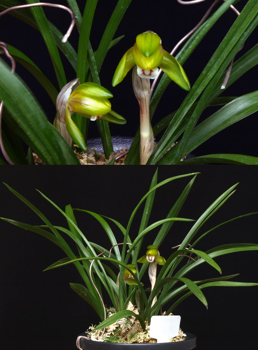 ������ ū������ �� �� �ֽ��ϴ�.