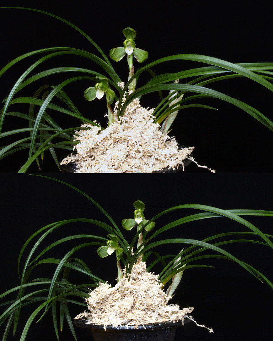 ������ ū������ �� �� �ֽ��ϴ�.