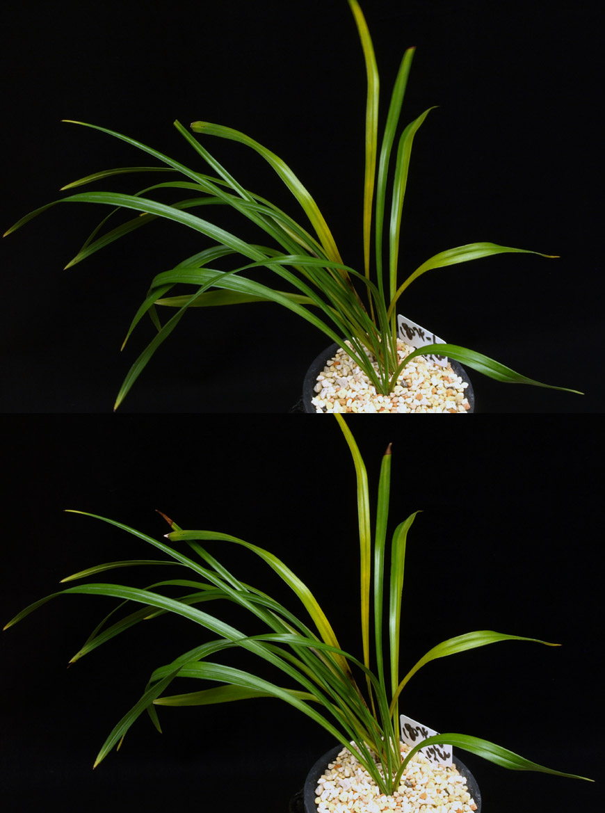 ������ ū������ �� �� �ֽ��ϴ�.