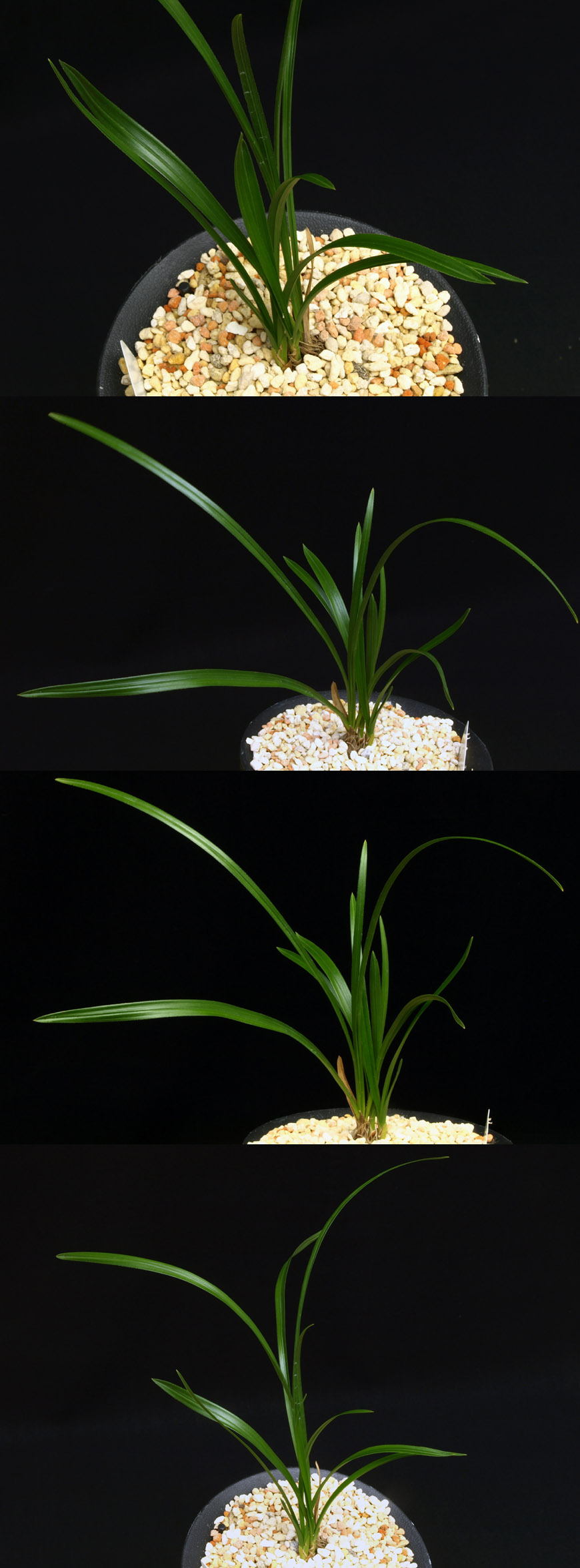 ������ ū������ �� �� �ֽ��ϴ�.