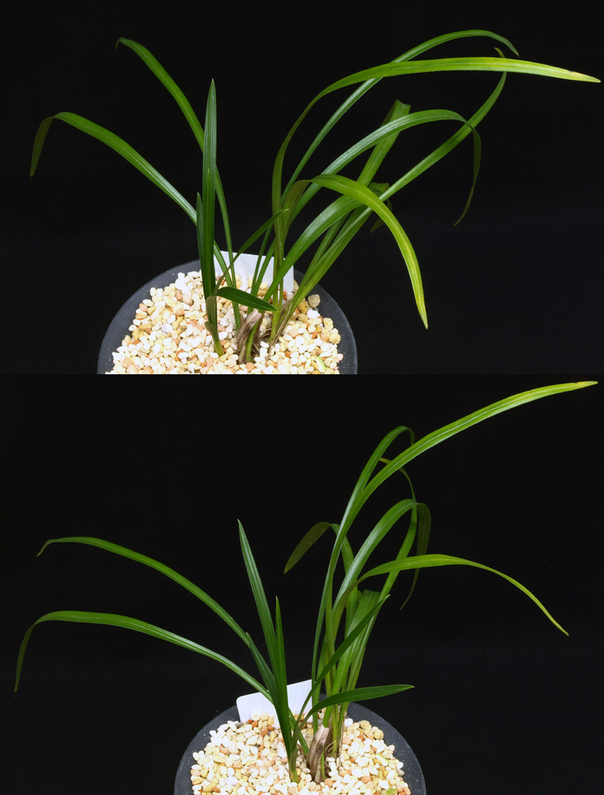 ������ ū������ �� �� �ֽ��ϴ�.