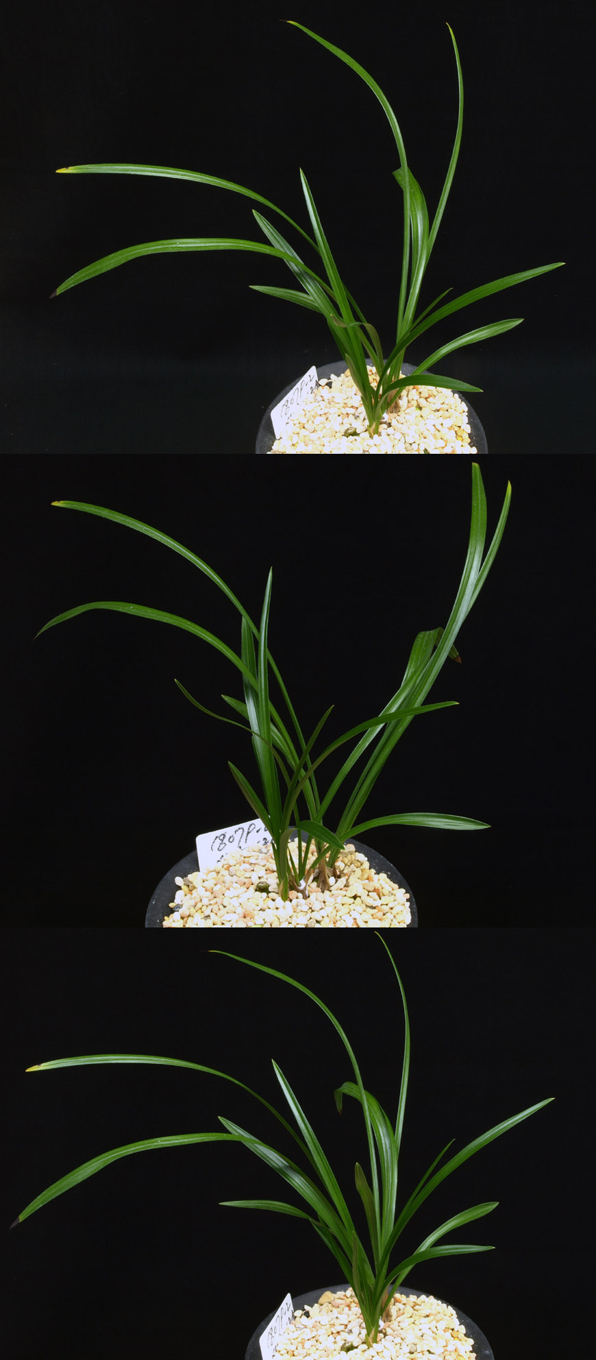 ������ ū������ �� �� �ֽ��ϴ�.