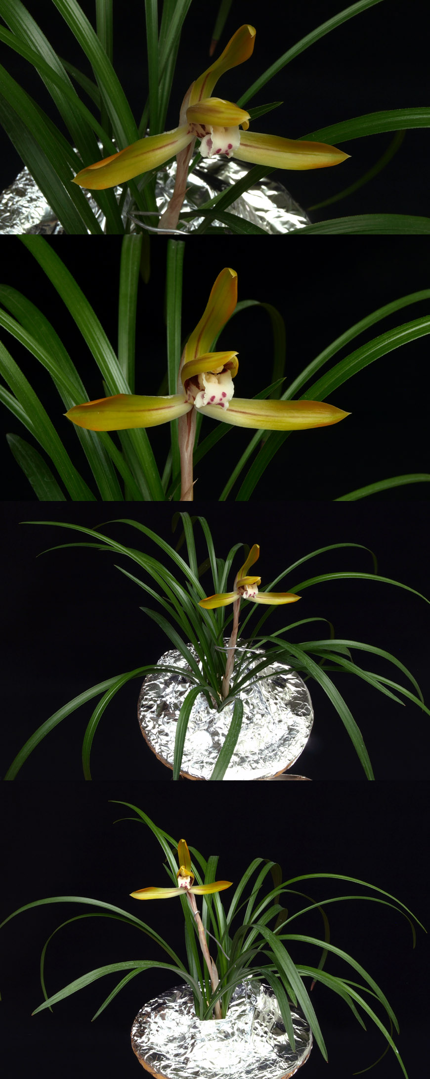 ������ ū������ �� �� �ֽ��ϴ�.