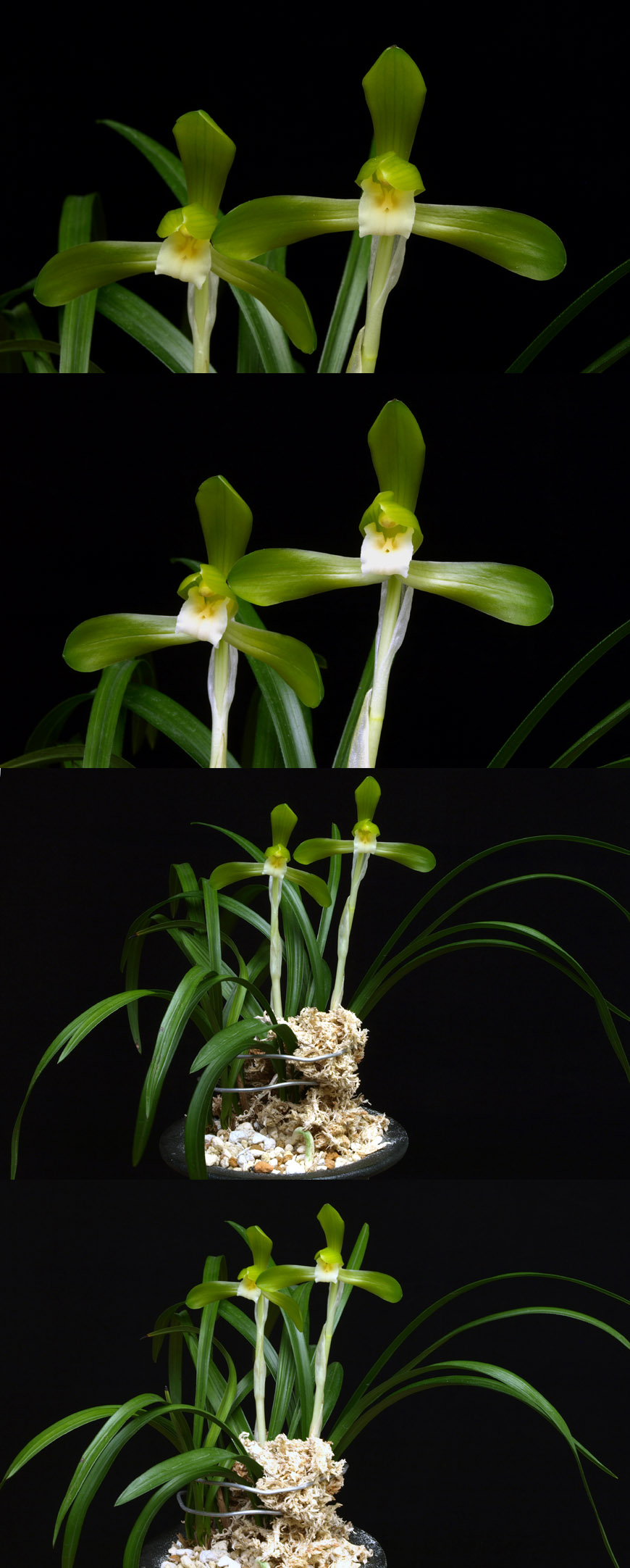 ������ ū������ �� �� �ֽ��ϴ�.