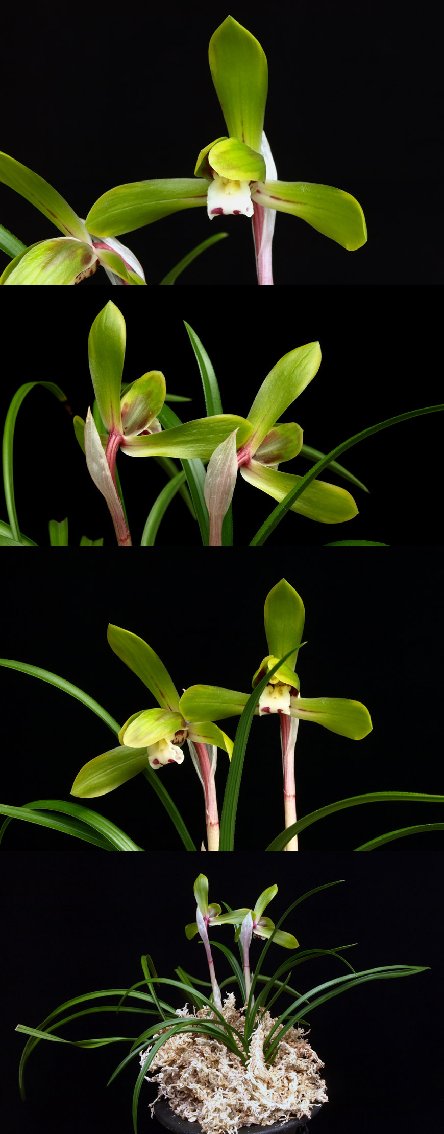 ������ ū������ �� �� �ֽ��ϴ�.