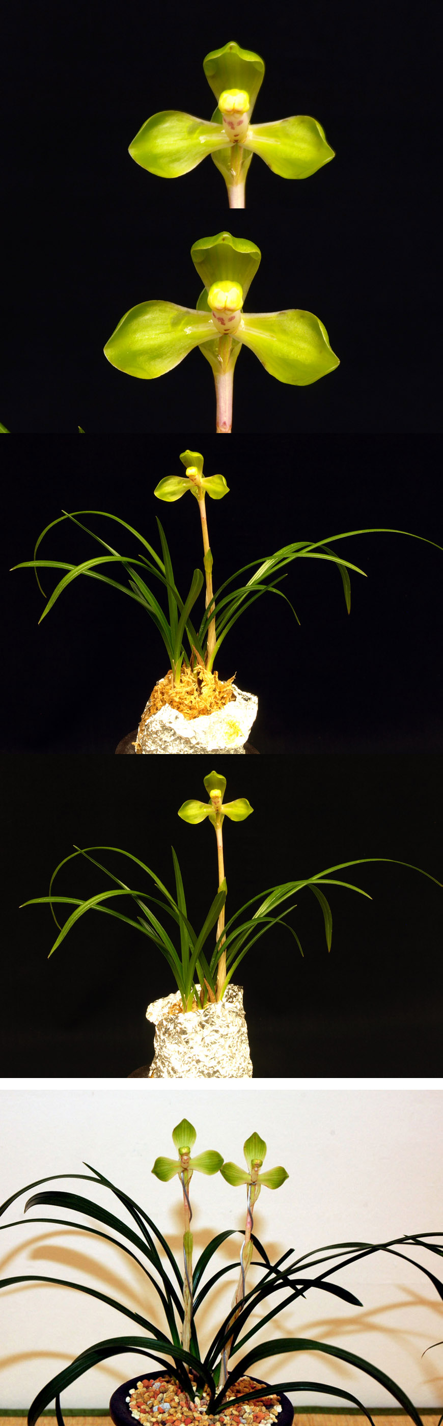 ������ ū������ �� �� �ֽ��ϴ�.