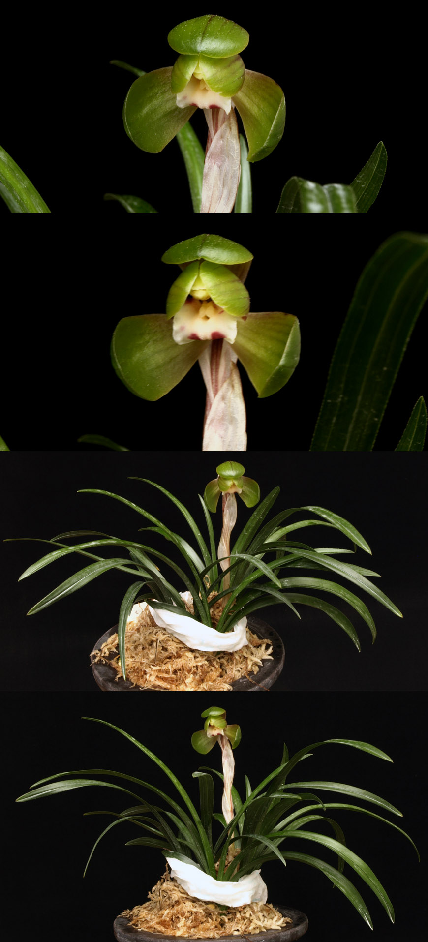 ������ ū������ �� �� �ֽ��ϴ�.