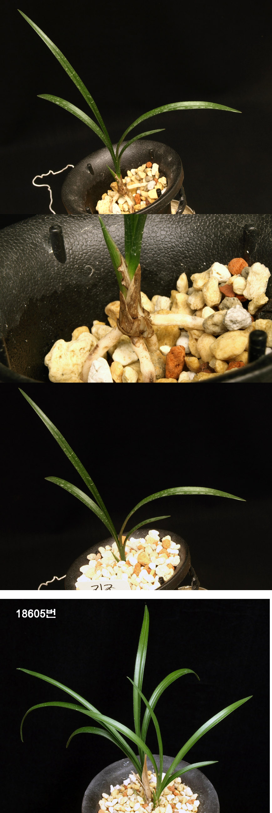 ������ ū������ �� �� �ֽ��ϴ�.