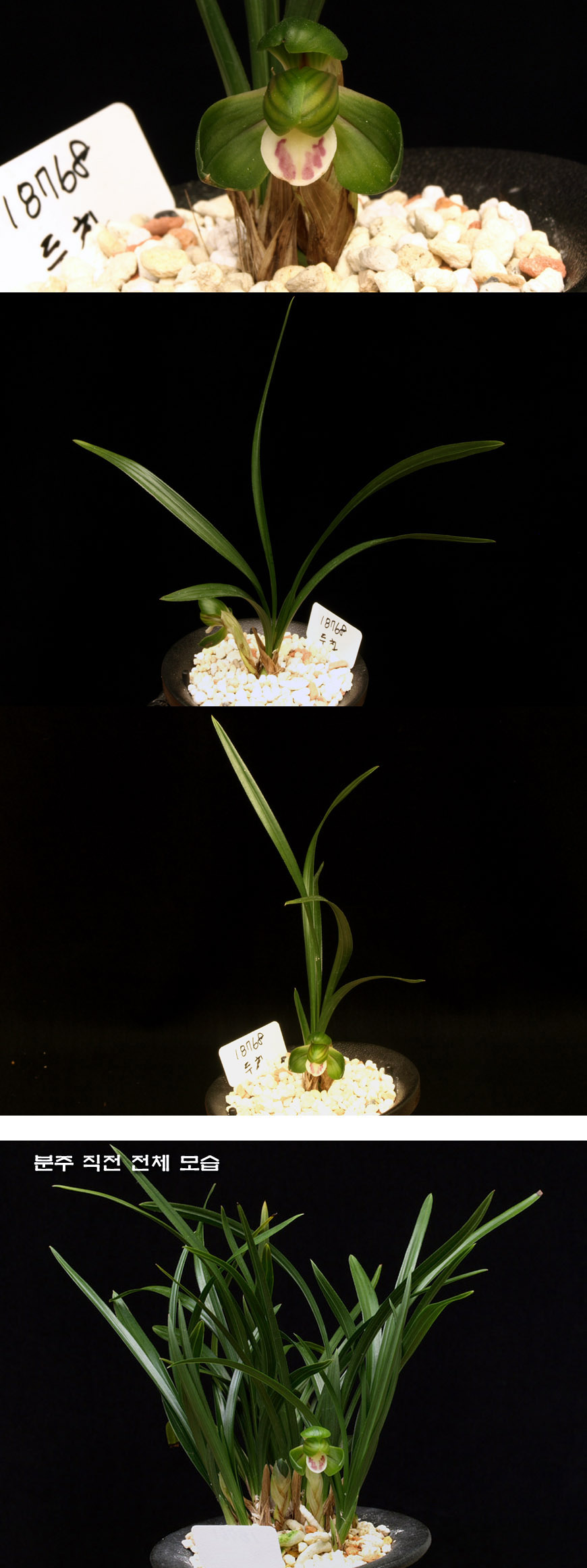 ������ ū������ �� �� �ֽ��ϴ�.