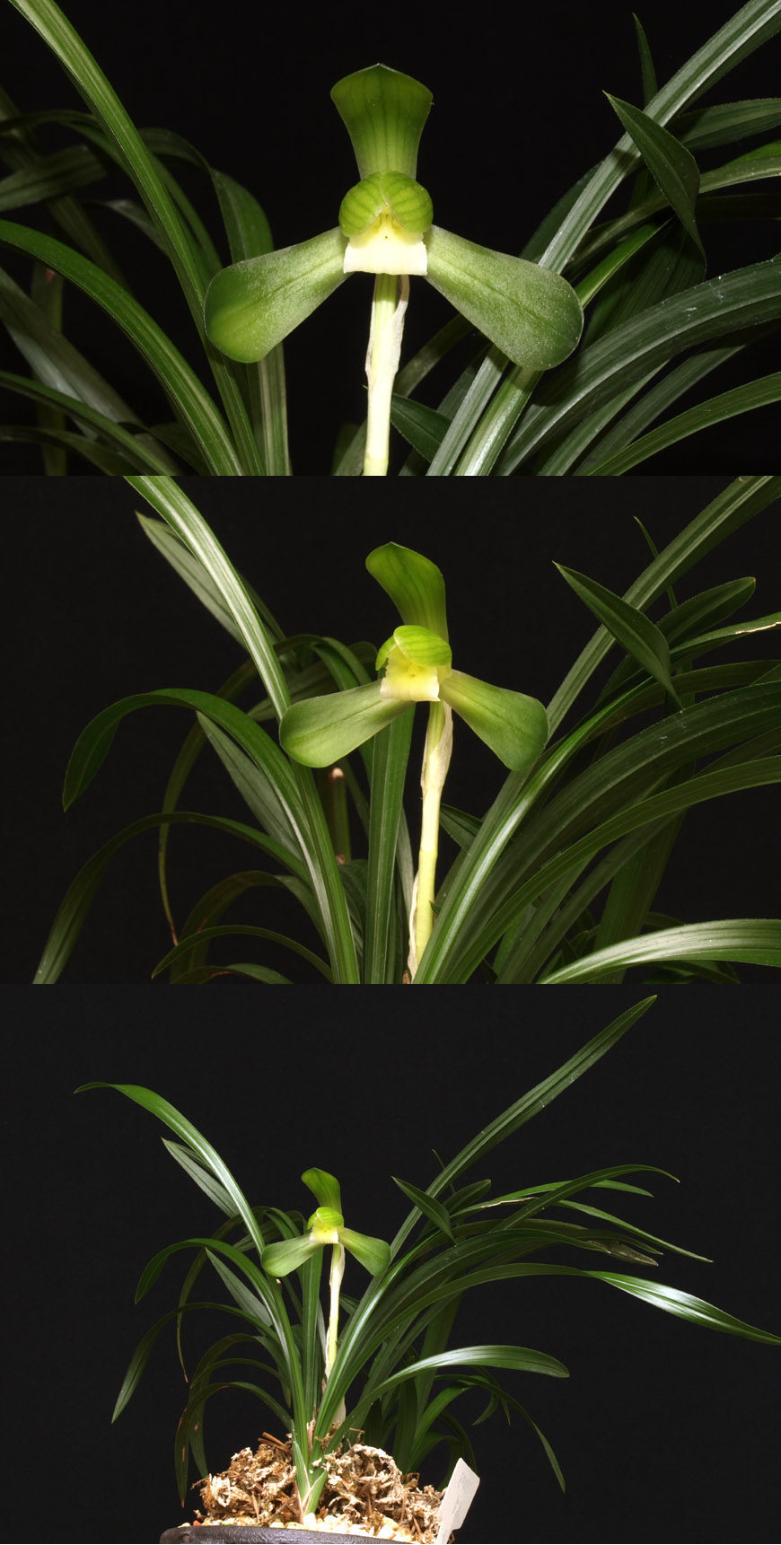 ������ ū������ �� �� �ֽ��ϴ�.