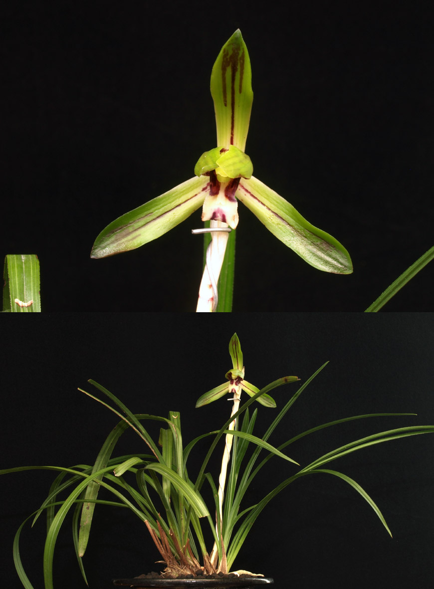 ������ ū������ �� �� �ֽ��ϴ�.