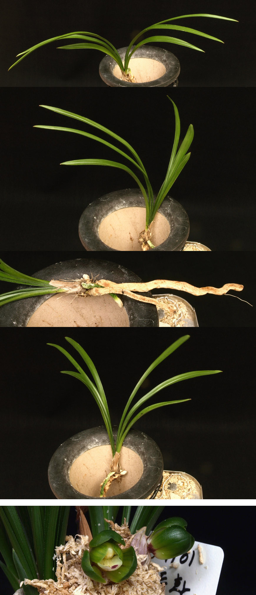 ������ ū������ �� �� �ֽ��ϴ�.