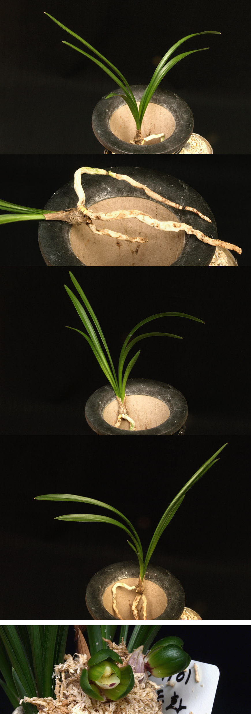 ������ ū������ �� �� �ֽ��ϴ�.