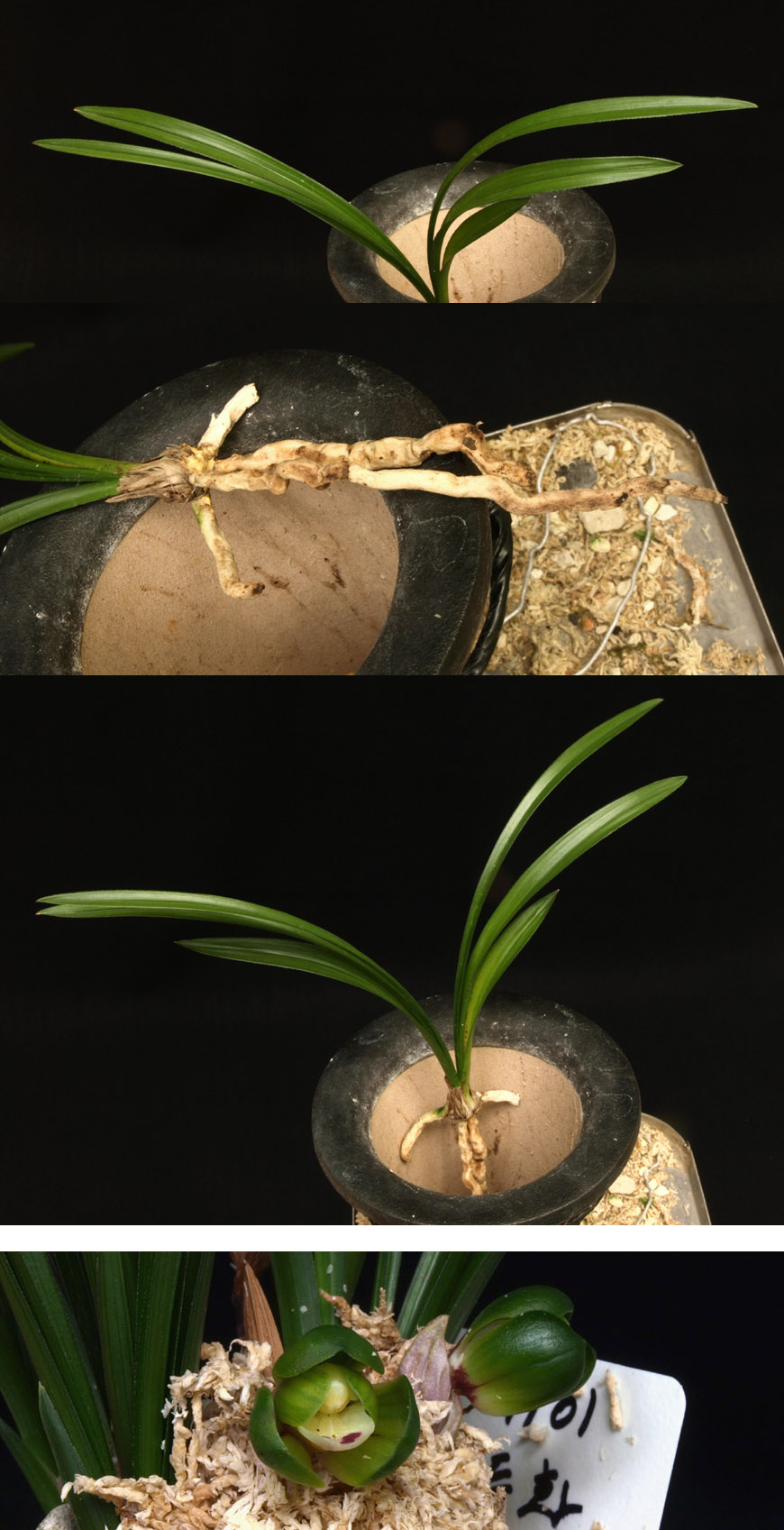 ������ ū������ �� �� �ֽ��ϴ�.