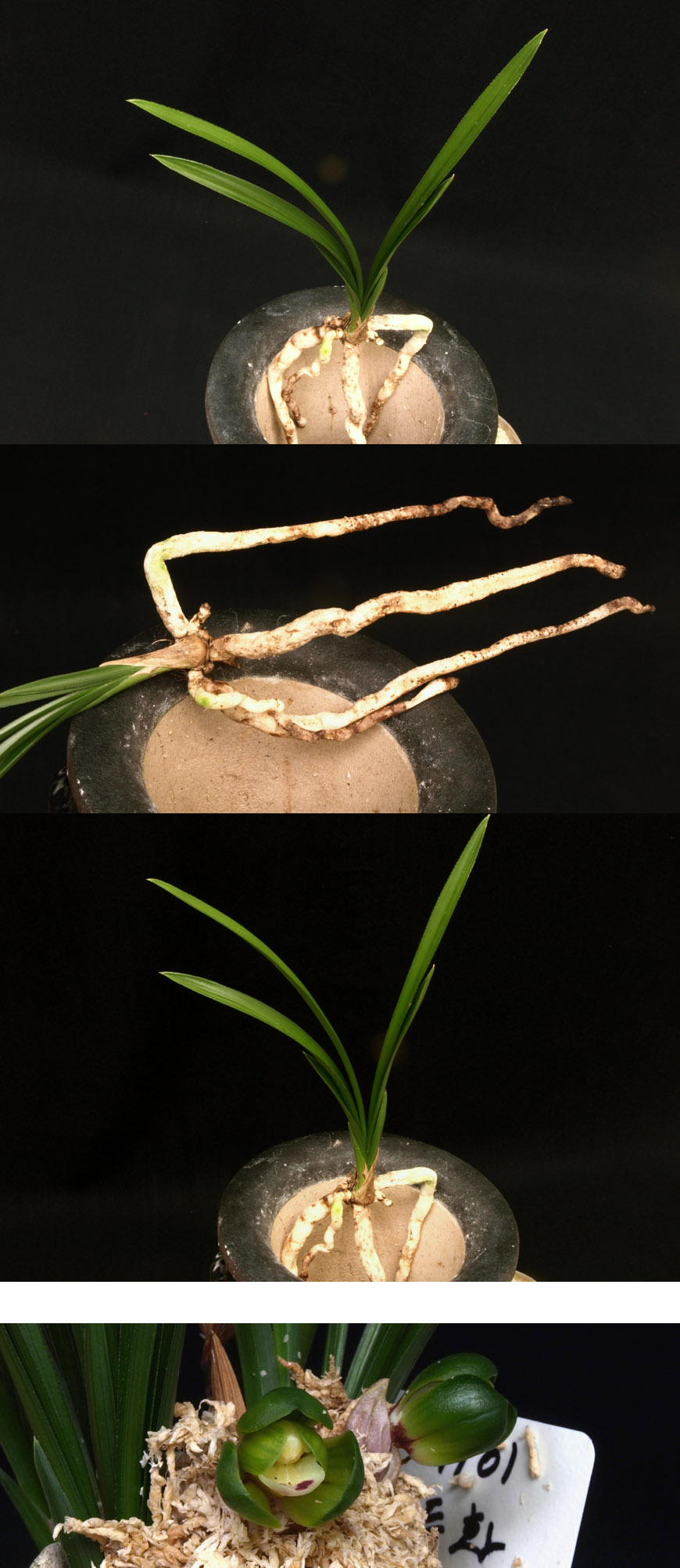 ������ ū������ �� �� �ֽ��ϴ�.