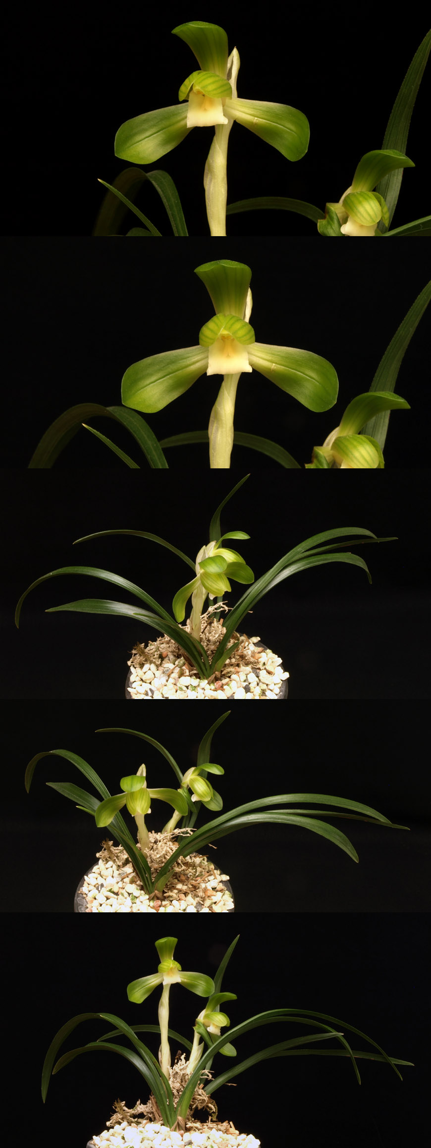 ������ ū������ �� �� �ֽ��ϴ�.