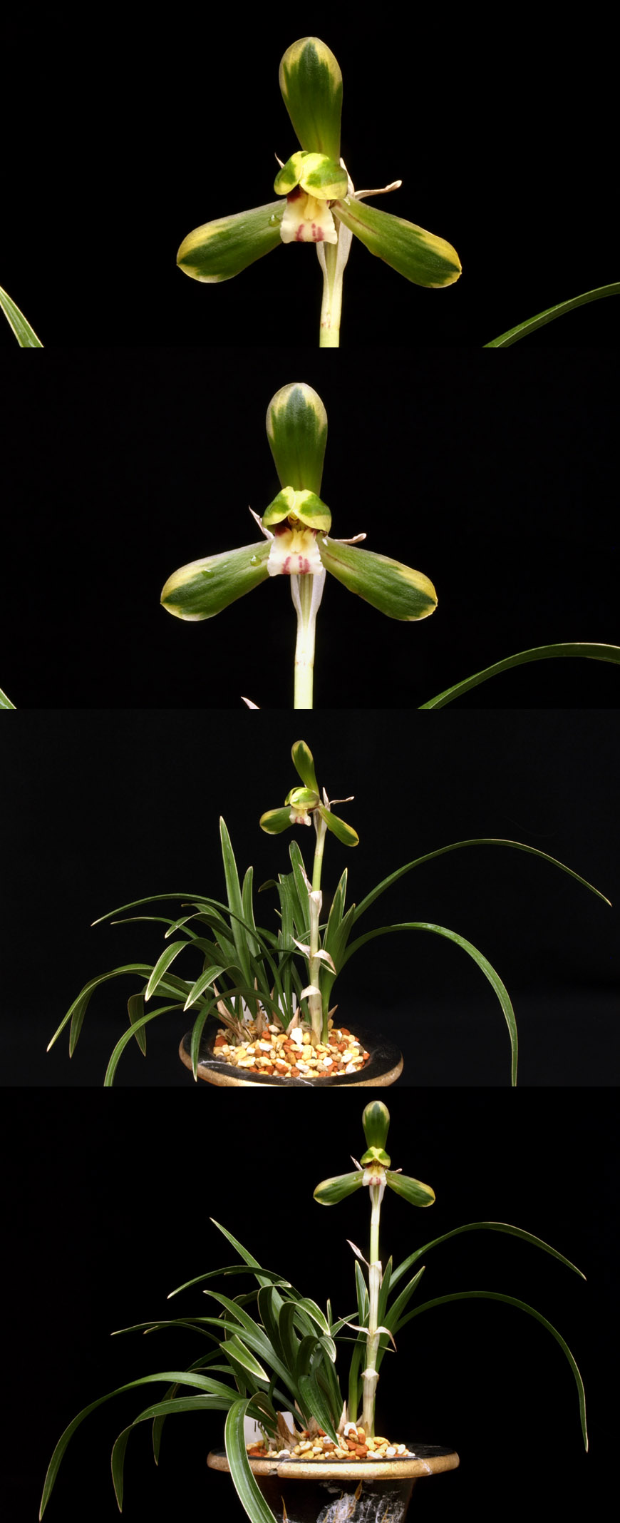 ������ ū������ �� �� �ֽ��ϴ�.