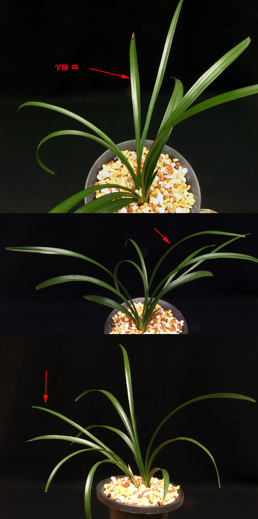 ������ ū������ �� �� �ֽ��ϴ�.