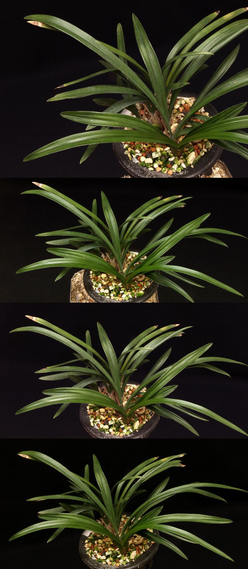 ������ ū������ �� �� �ֽ��ϴ�.