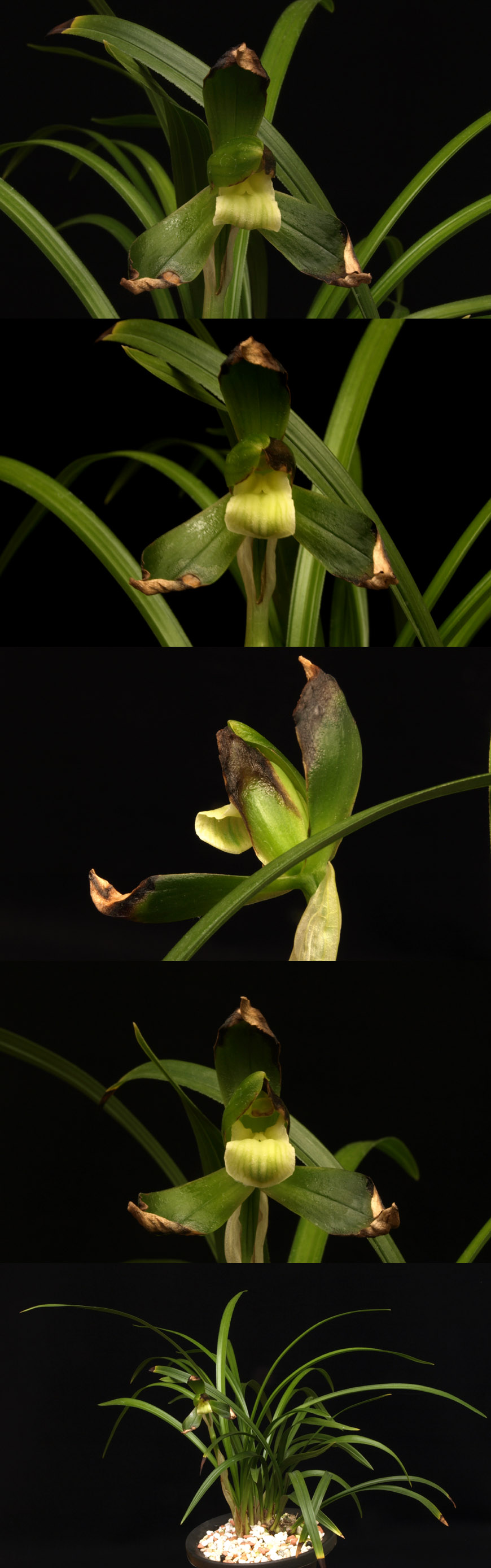 ������ ū������ �� �� �ֽ��ϴ�.