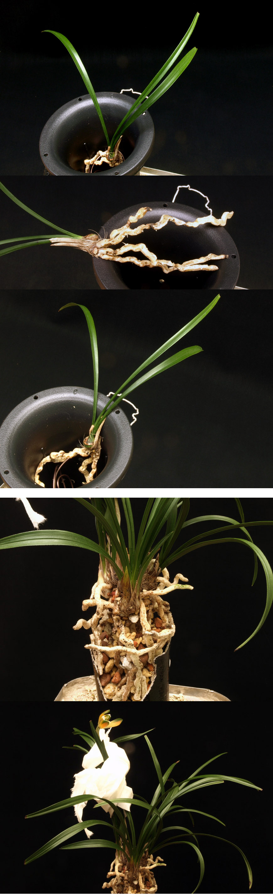 ������ ū������ �� �� �ֽ��ϴ�.