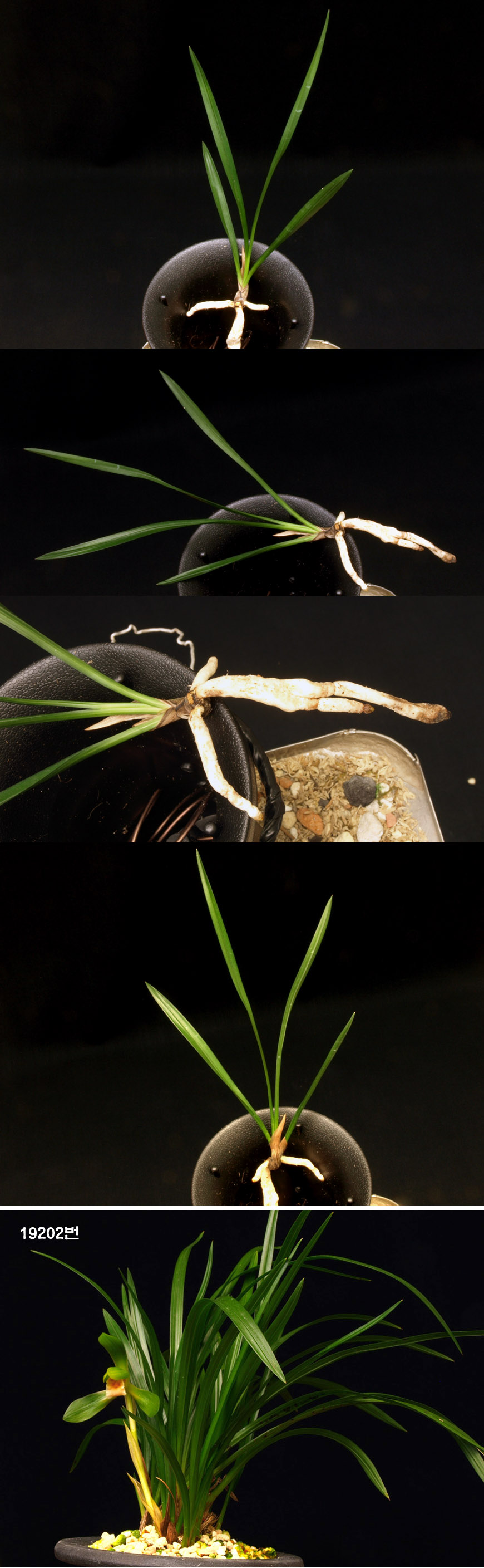 ������ ū������ �� �� �ֽ��ϴ�.