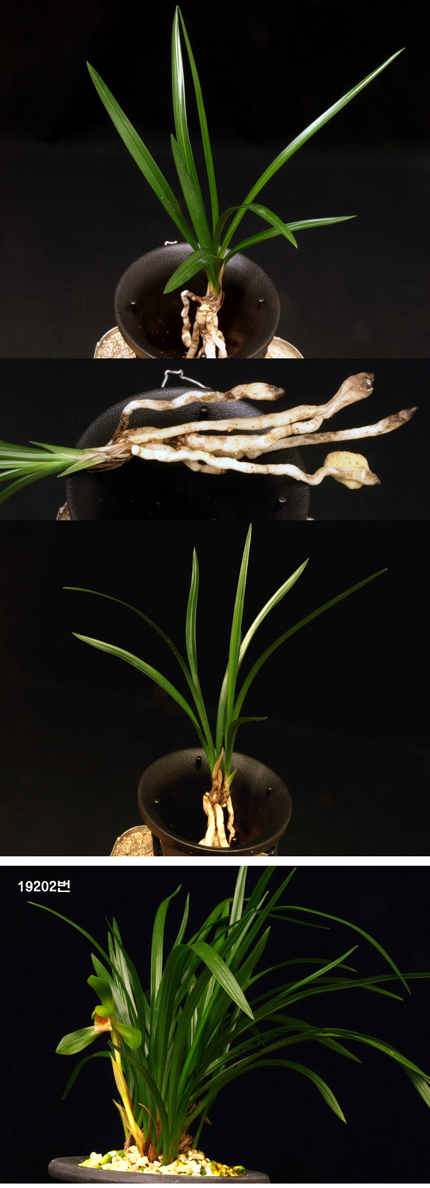 ������ ū������ �� �� �ֽ��ϴ�.