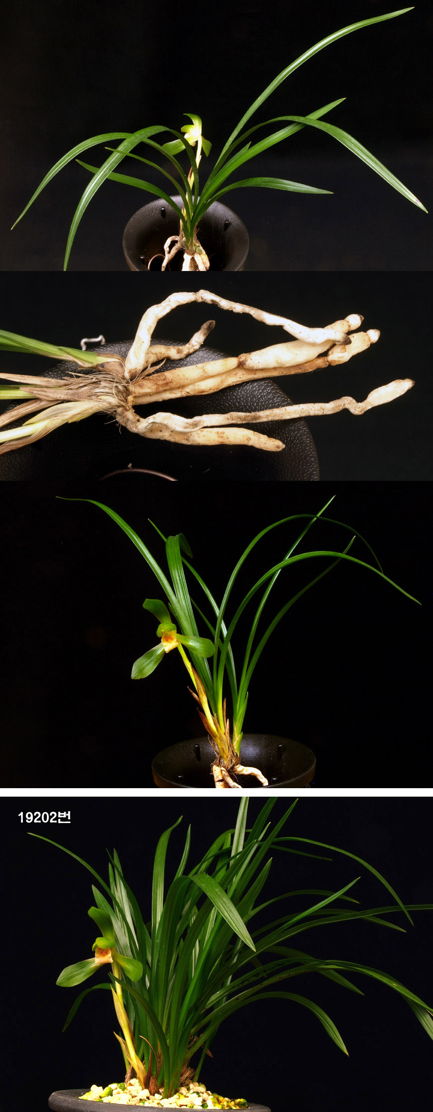 ������ ū������ �� �� �ֽ��ϴ�.