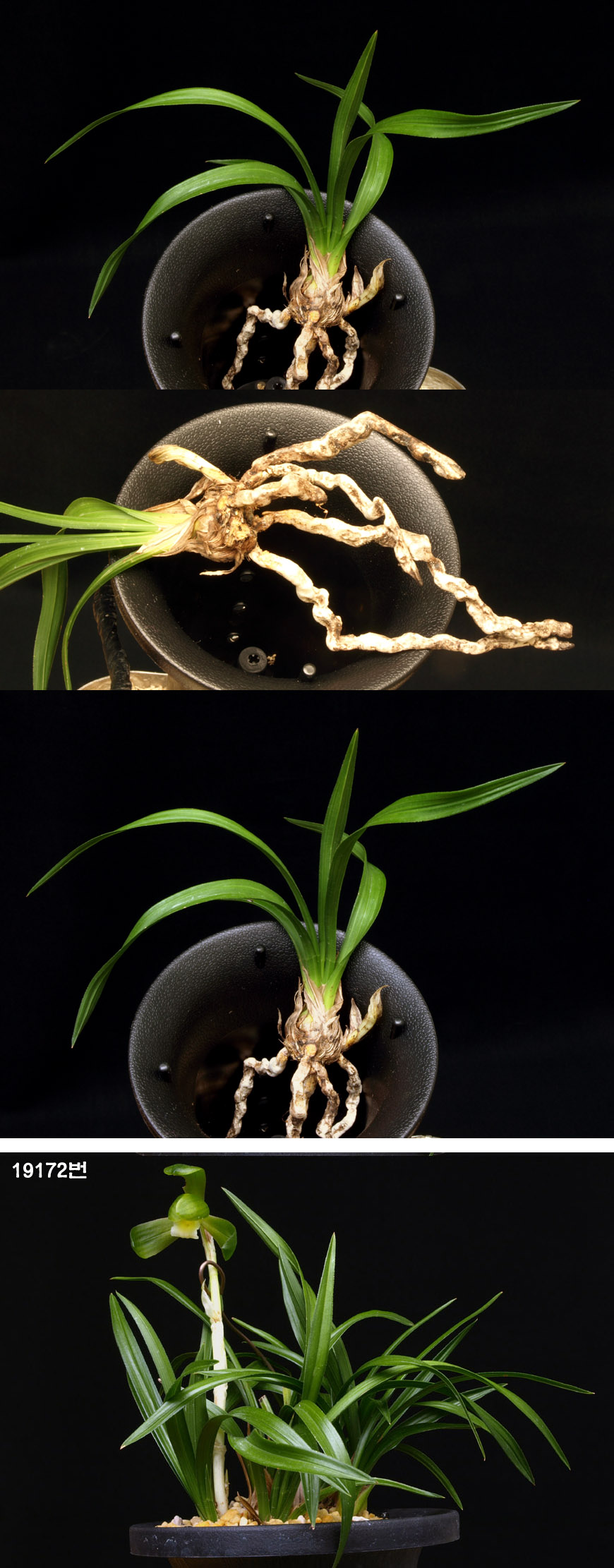 ������ ū������ �� �� �ֽ��ϴ�.