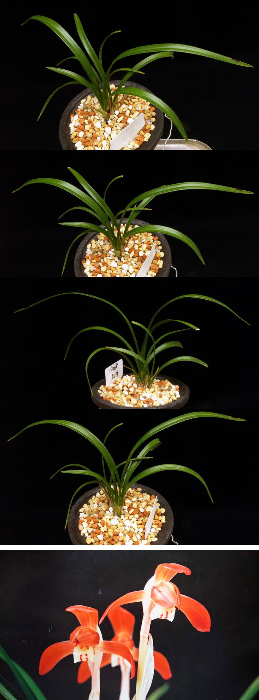 ������ ū������ �� �� �ֽ��ϴ�.