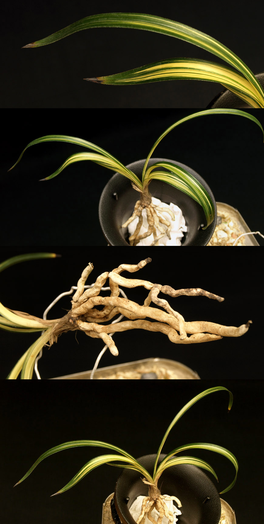 ������ ū������ �� �� �ֽ��ϴ�.