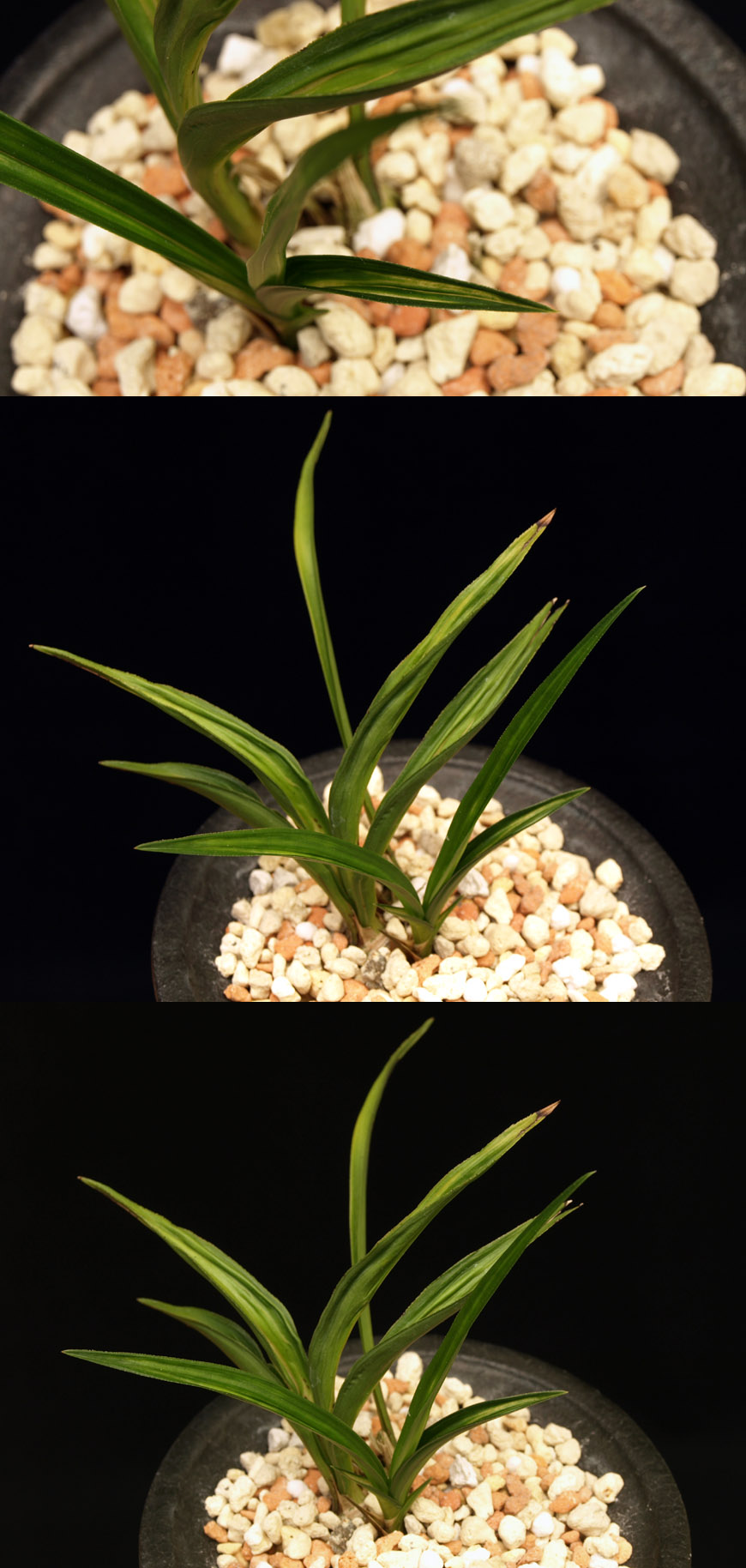 ������ ū������ �� �� �ֽ��ϴ�.