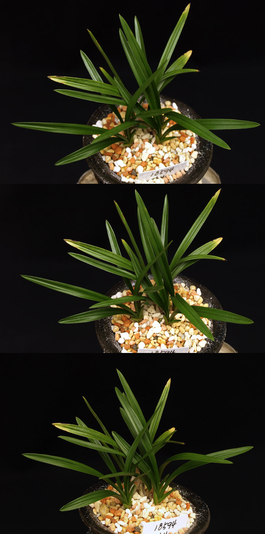 ������ ū������ �� �� �ֽ��ϴ�.