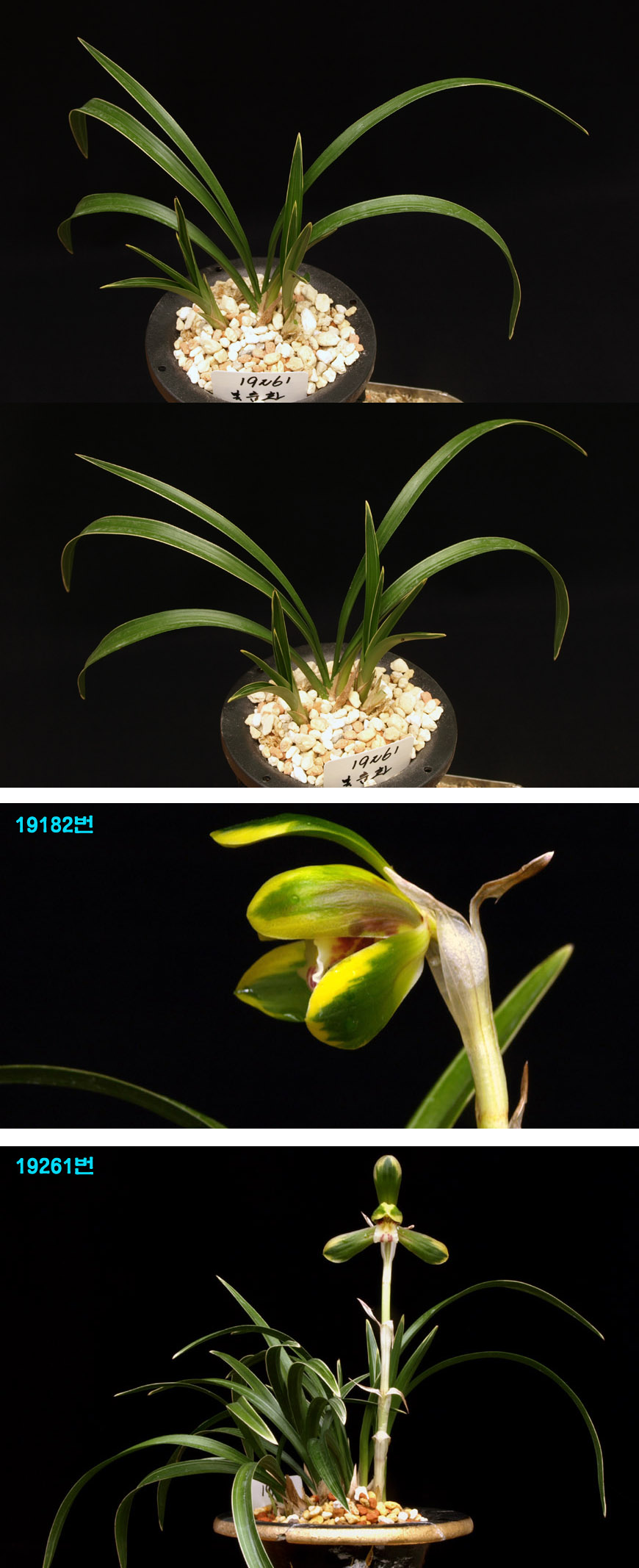 ������ ū������ �� �� �ֽ��ϴ�.