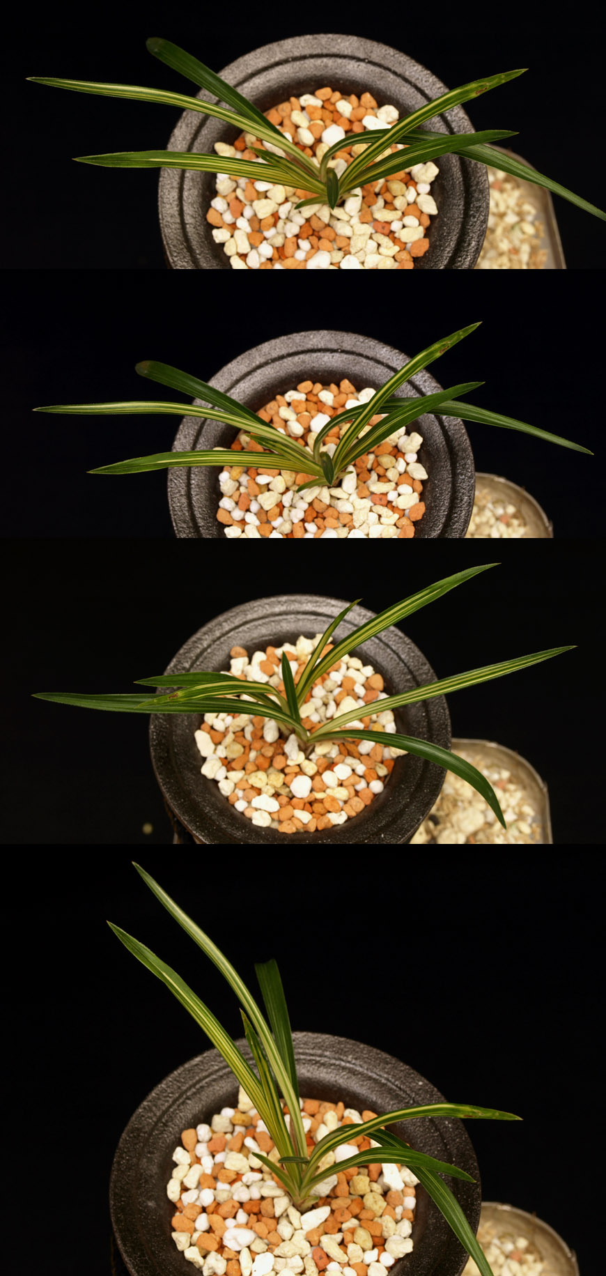 ������ ū������ �� �� �ֽ��ϴ�.