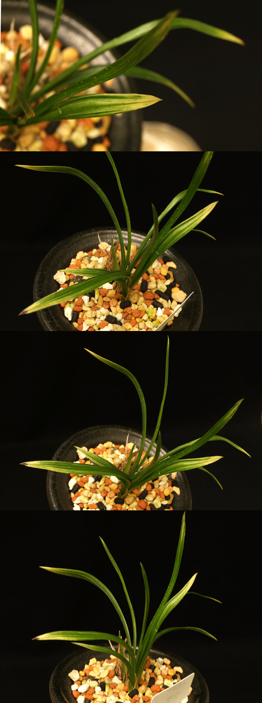 ������ ū������ �� �� �ֽ��ϴ�.