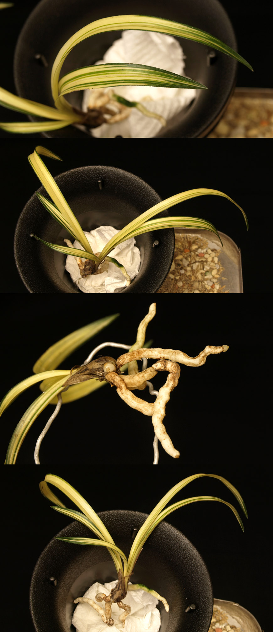 ������ ū������ �� �� �ֽ��ϴ�.