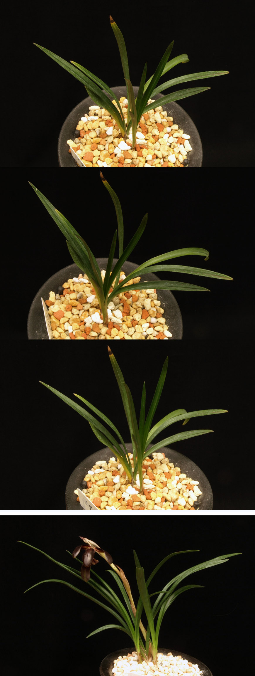 ������ ū������ �� �� �ֽ��ϴ�.