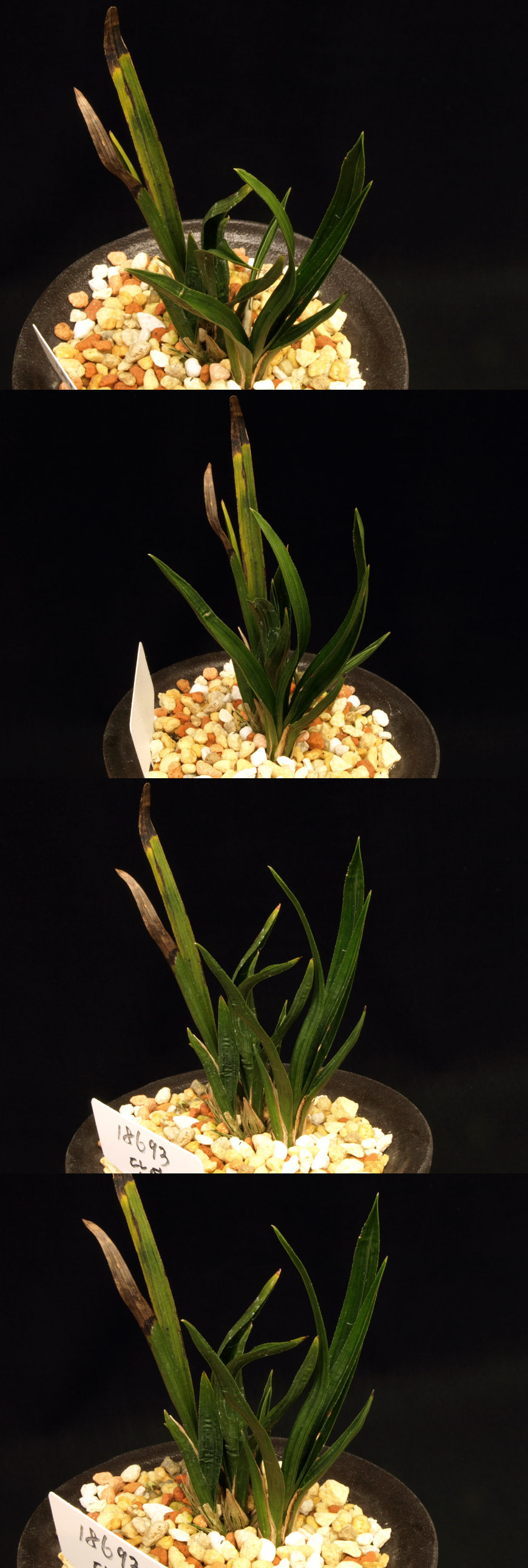 ������ ū������ �� �� �ֽ��ϴ�.