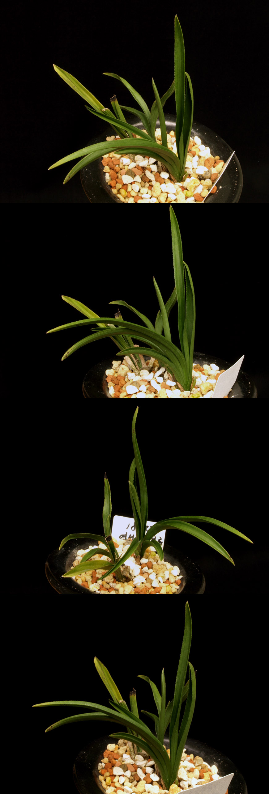 ������ ū������ �� �� �ֽ��ϴ�.