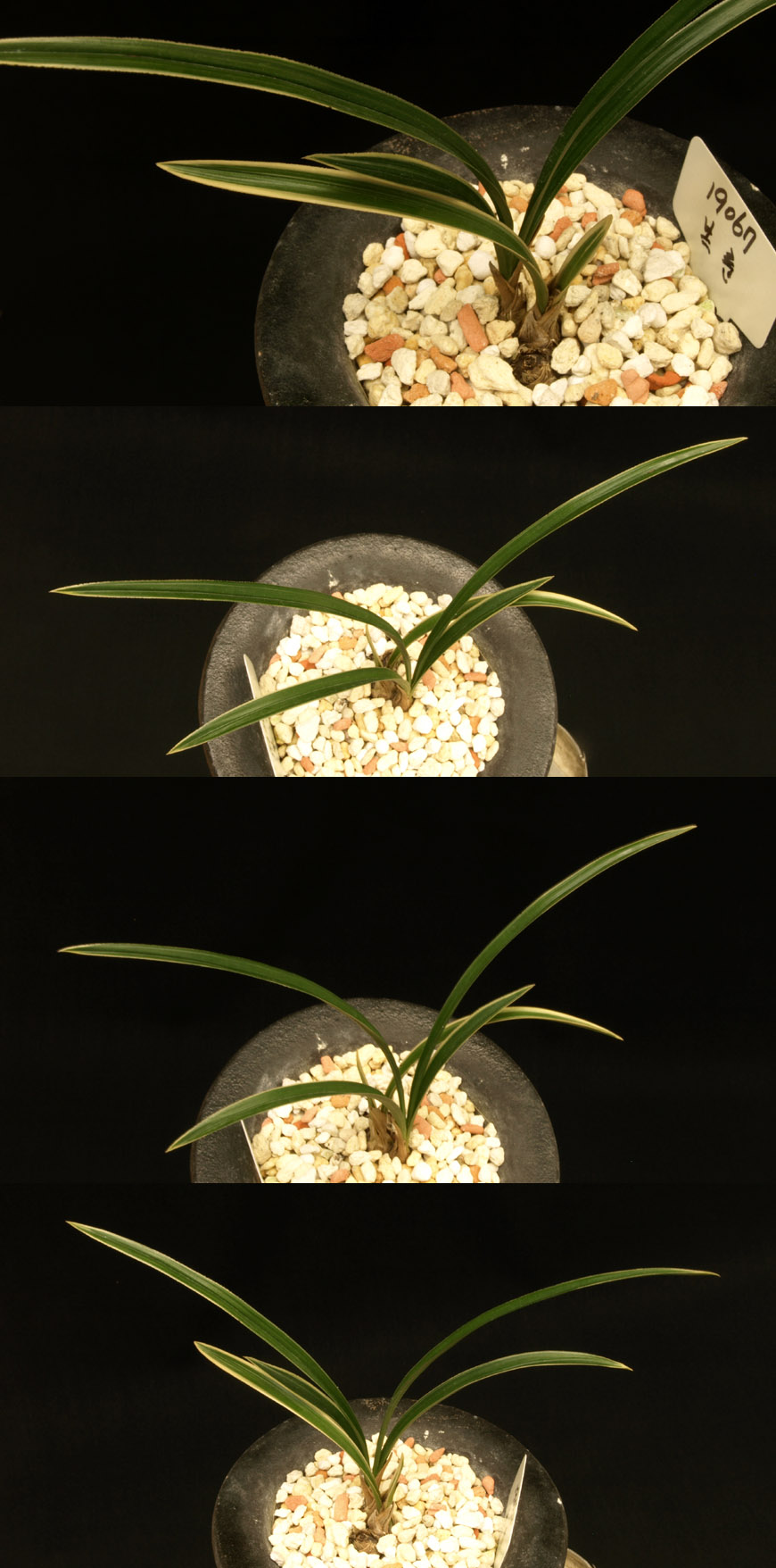 ������ ū������ �� �� �ֽ��ϴ�.