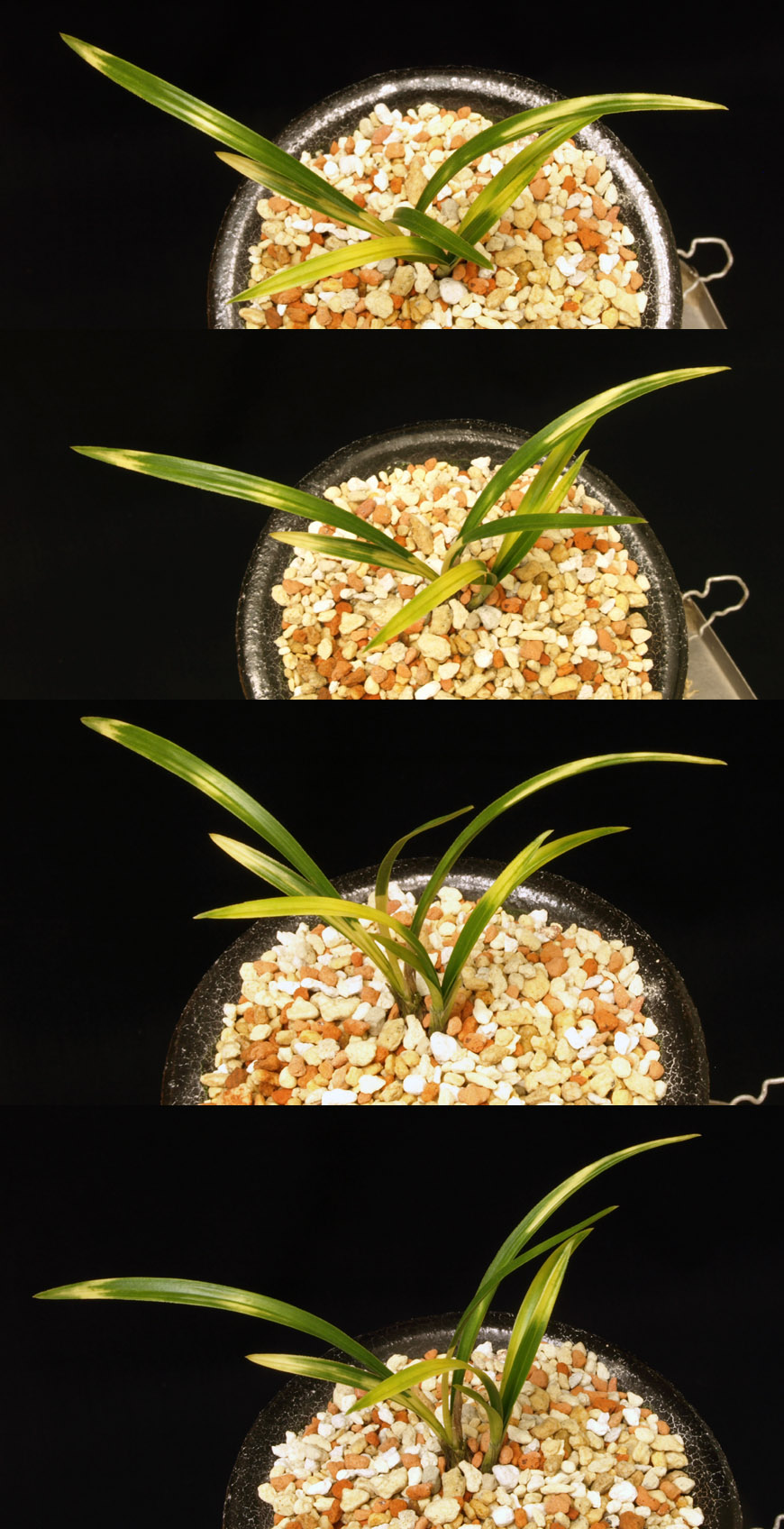 ������ ū������ �� �� �ֽ��ϴ�.